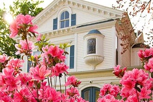 澳洲篮球联赛年度最佳阵容公布，超值推荐