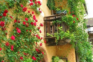 印度女篮全队表现出色惊险逆转击败墨西哥队